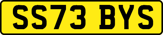 SS73BYS