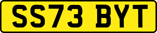 SS73BYT