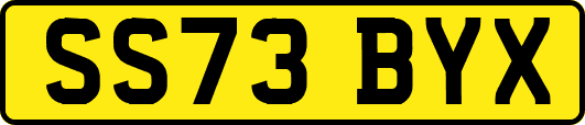 SS73BYX