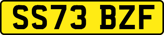 SS73BZF