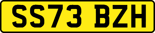 SS73BZH