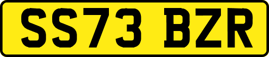 SS73BZR