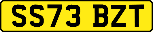 SS73BZT