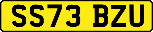 SS73BZU