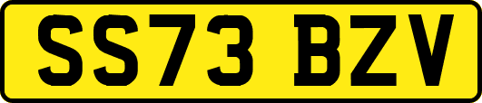 SS73BZV
