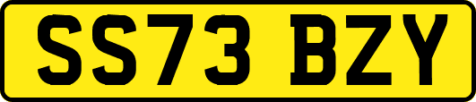 SS73BZY