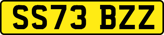 SS73BZZ