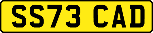 SS73CAD