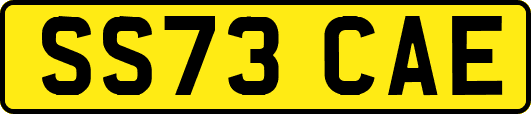 SS73CAE