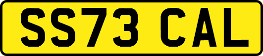 SS73CAL