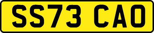 SS73CAO