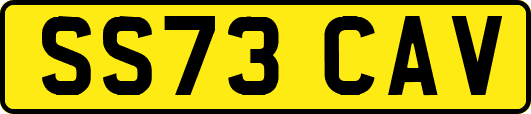 SS73CAV