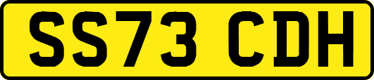 SS73CDH