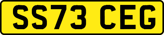 SS73CEG