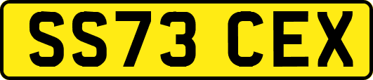SS73CEX