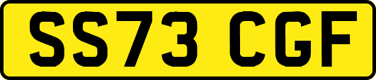 SS73CGF