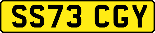 SS73CGY