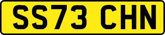 SS73CHN