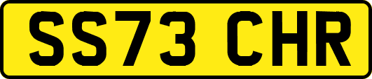SS73CHR