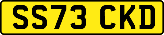 SS73CKD