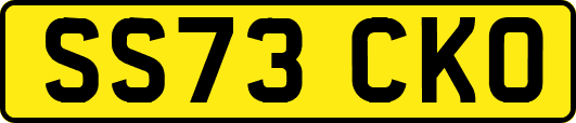 SS73CKO