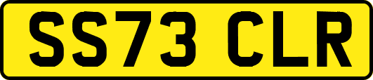 SS73CLR