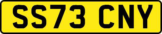 SS73CNY