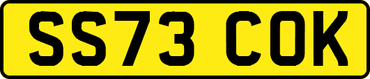 SS73COK