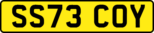 SS73COY