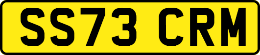 SS73CRM
