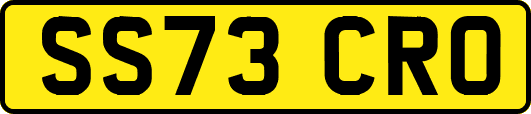 SS73CRO