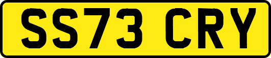 SS73CRY