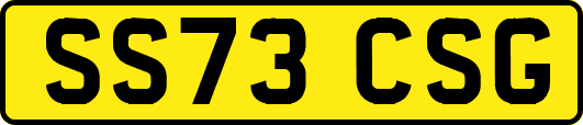 SS73CSG