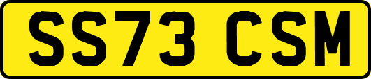 SS73CSM