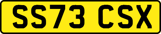 SS73CSX