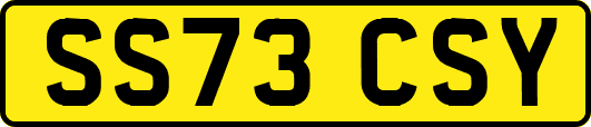 SS73CSY
