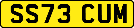 SS73CUM