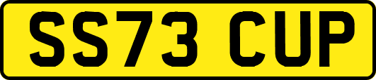 SS73CUP