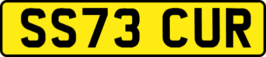 SS73CUR