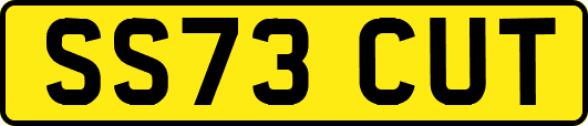 SS73CUT