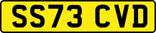 SS73CVD