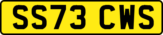 SS73CWS