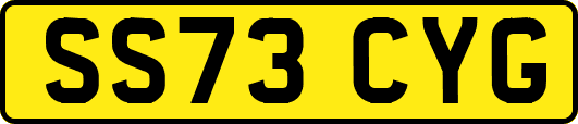 SS73CYG
