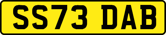 SS73DAB