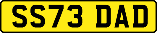 SS73DAD