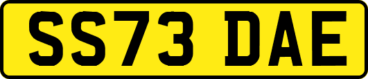 SS73DAE