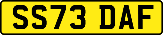 SS73DAF