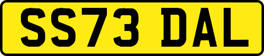 SS73DAL