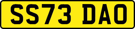 SS73DAO