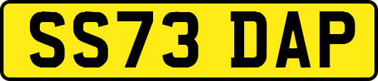 SS73DAP